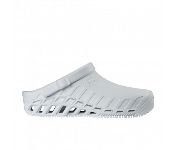 Clog-Evo-alb(1)