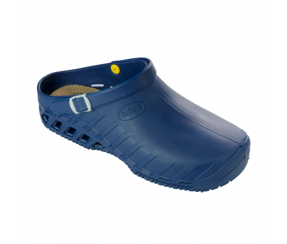 Clog-Evo_albastru