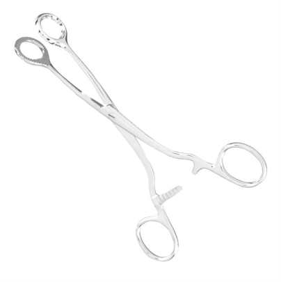pensa-de-prins-limba Collin 17cm