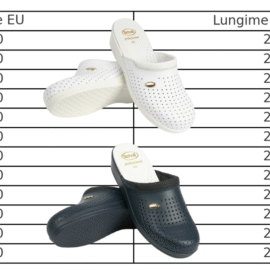 Papuci Ortopedici Unisex Scholl Clog Backguard