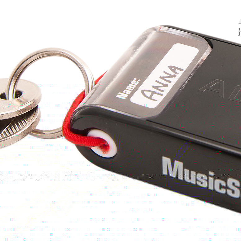 Dopuri De Urechi Pentru Muzicieni Alpine MusicSafe Pro