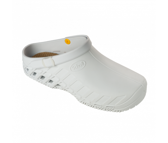 Clog-Evo-ALB(2)