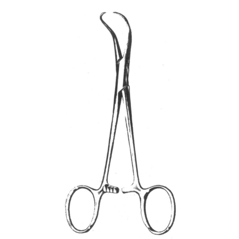 pensa-backhaus