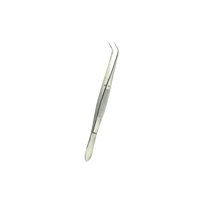pensa-dentara