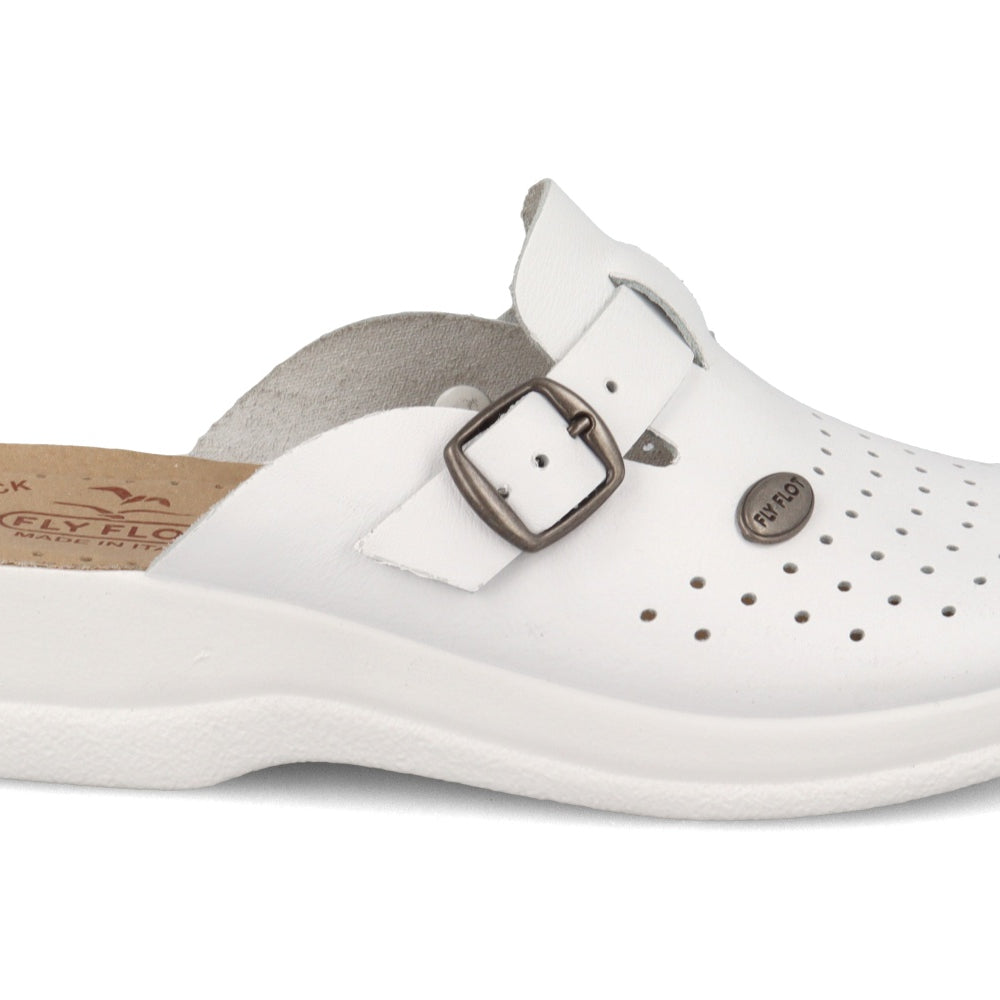 showimg-ecommerce (1)